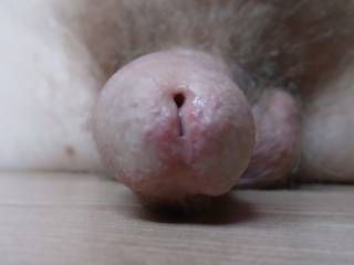 Leaking precum from my hole