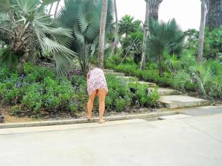 walking around showing with no panties on