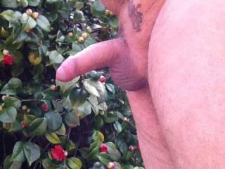 It's not only the flowers that have nice heads in my garden !!