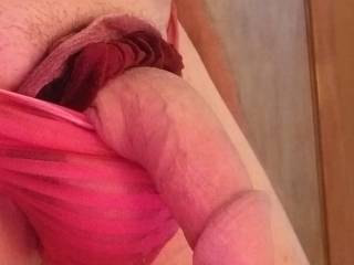 Cock out balls pantied