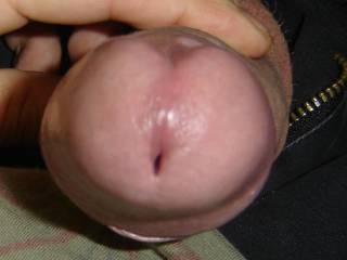 heres looking at you.