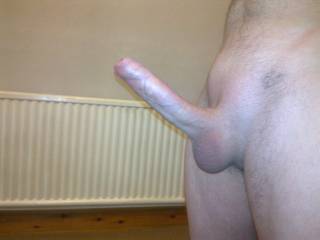 any ladies fancy a suck or fuck???