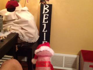 Santa' helper!