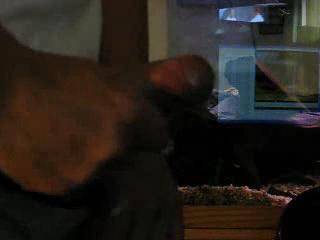 1st cumshot video