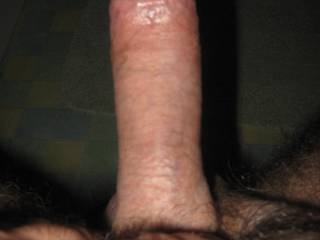 Hard cock,any ladies intrested?
