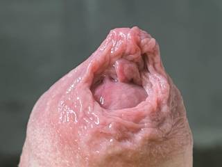 Who will give it a kiss?