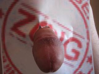This is a genuine Zoig! member. Would you like a taste?