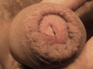 love it pre-cum, big foreskin to tounge inside and out fat good size made to order for a cocklover like me i am drooling looking at this joy .