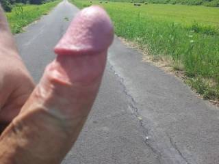 dick