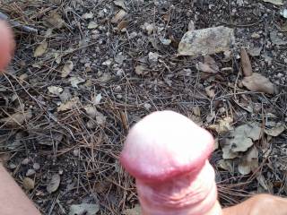 And there was I hoping that is was in the woods just around the corner from me!