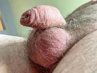 dick