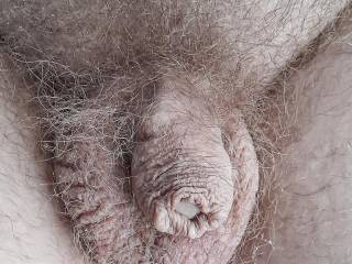 My erectile dysfunction dickie Not shaved