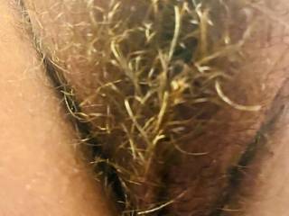 I get  up and for no reason… My pussy is blonde , do you think so ?