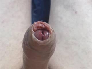 How quickly \'He\' rises up especially for you and eager for you to slide back his foreskin.