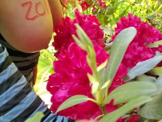 Big boobs and big flowers.