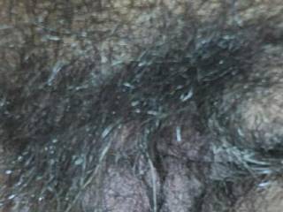 Hairy mature Maori pussy