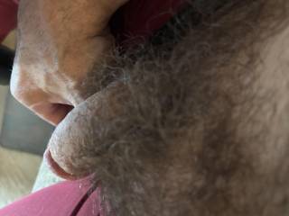 smelling my hairy musk scented bush