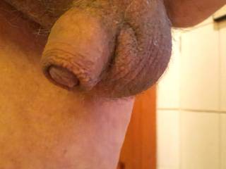 Do you find this small cock hot or ridiculous?