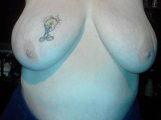 They are great tits  Thanks for sharing