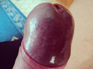 Hard and nice.