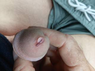 Love teasing my cock for precum flow. Anyone want to have a lick