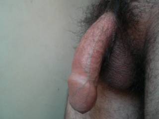 Another View Of My Dick!