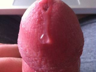 dripping precum chatting with all the sexy ladies on ZOIG. Have a lick?