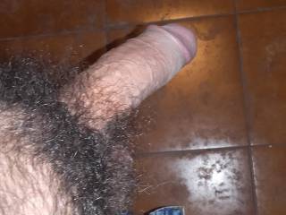 waiting for a nice woman to play with it