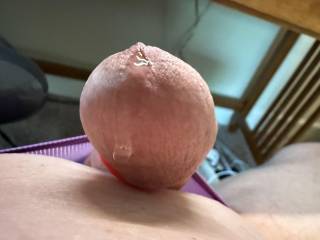 Se my cock rising up with each throb?