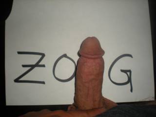 Tribute to Zoig
