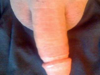 Hubby's cock and my panties!