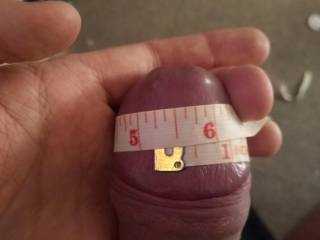 Measuring my Cock ;)