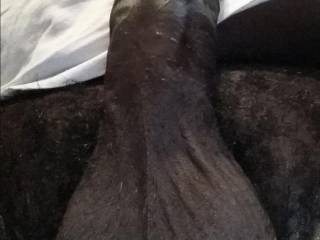 bbc from nc who loves bbw\'s, ssbbw\'s, t/s, cd\'s, and chubby sissy