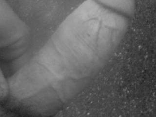 dick w\b