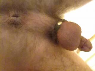 Seeing my balls wrapped up in their bracelet