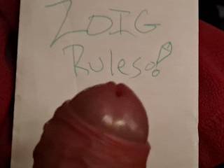 zoig inspired excitement