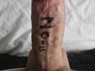 Hard cock