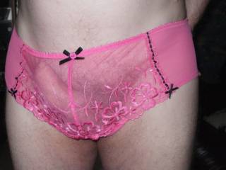 hard in pink see thru`s