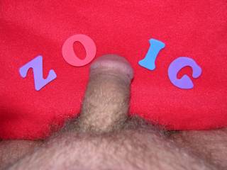 "zoig's"