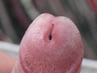 commin  from my cock...