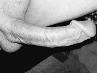 Long hard cock in black and white