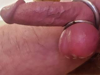 Fuck I am hard ringed and ready foe action

What kinda of action do YOU have in mind
