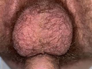 Lick my hairy balls