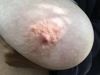 Thinking someone is hinting to put the camera down and have a lick ;)