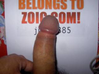 zoig cock