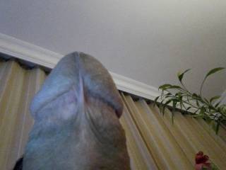 Sucl me