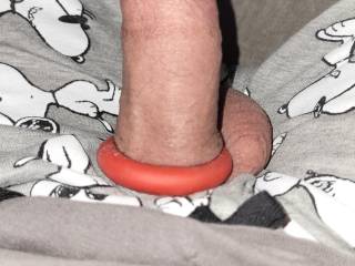 Usein the cock ring