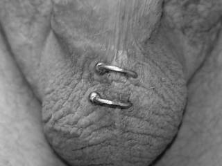 my Pierced Balls