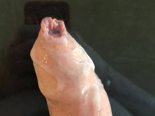 dick and foreskin covered in cum from my first orgasm, about to use it for lube for round 2