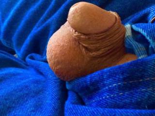 My embarrassing cock